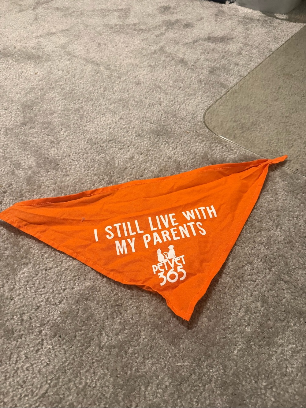 Orange Pet Bandana - "I Still Live With My Parents"